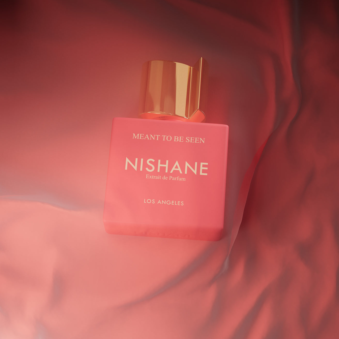 Nishane Meant To Be Seen EXT 50ml