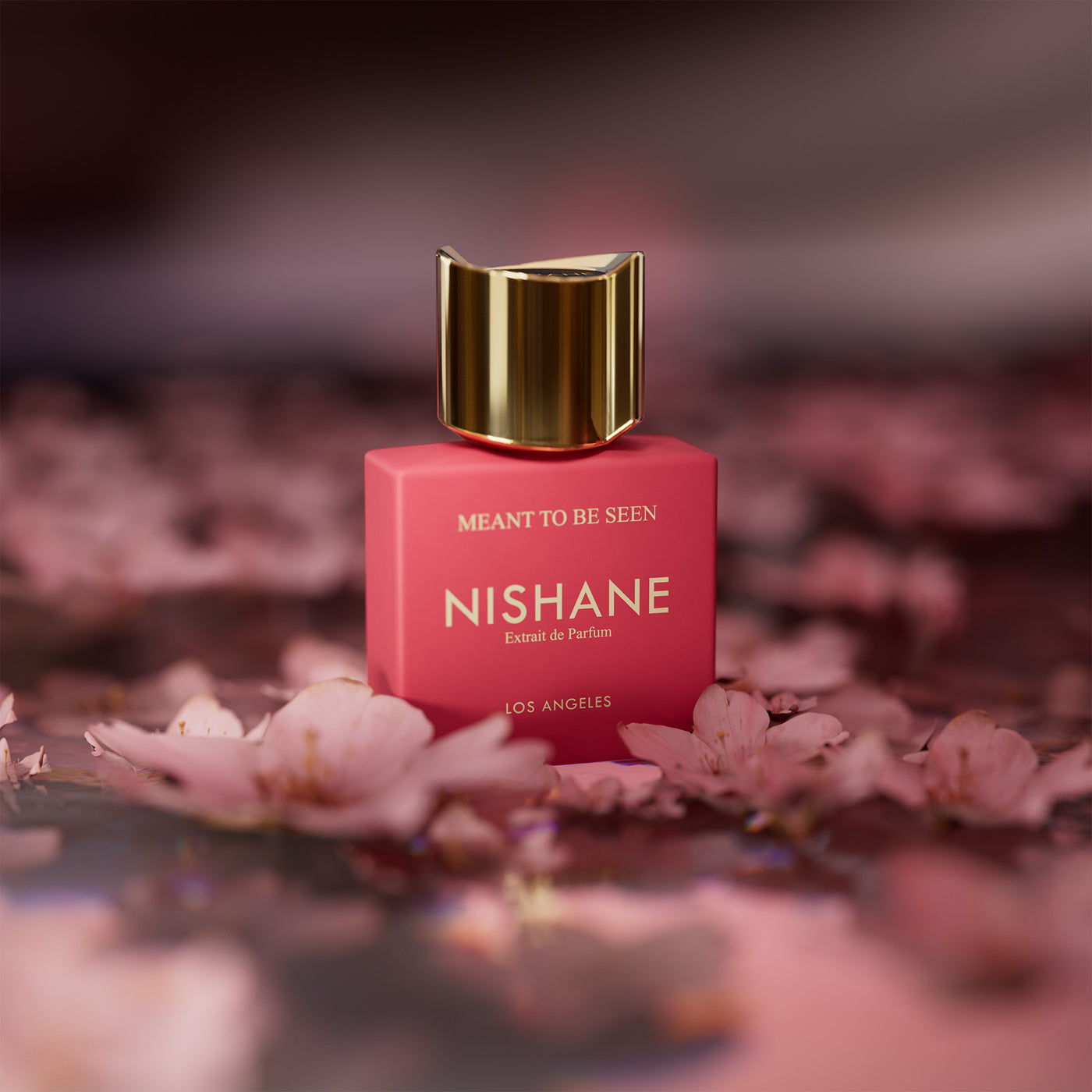 Nishane Meant To Be Seen EXT 100ml