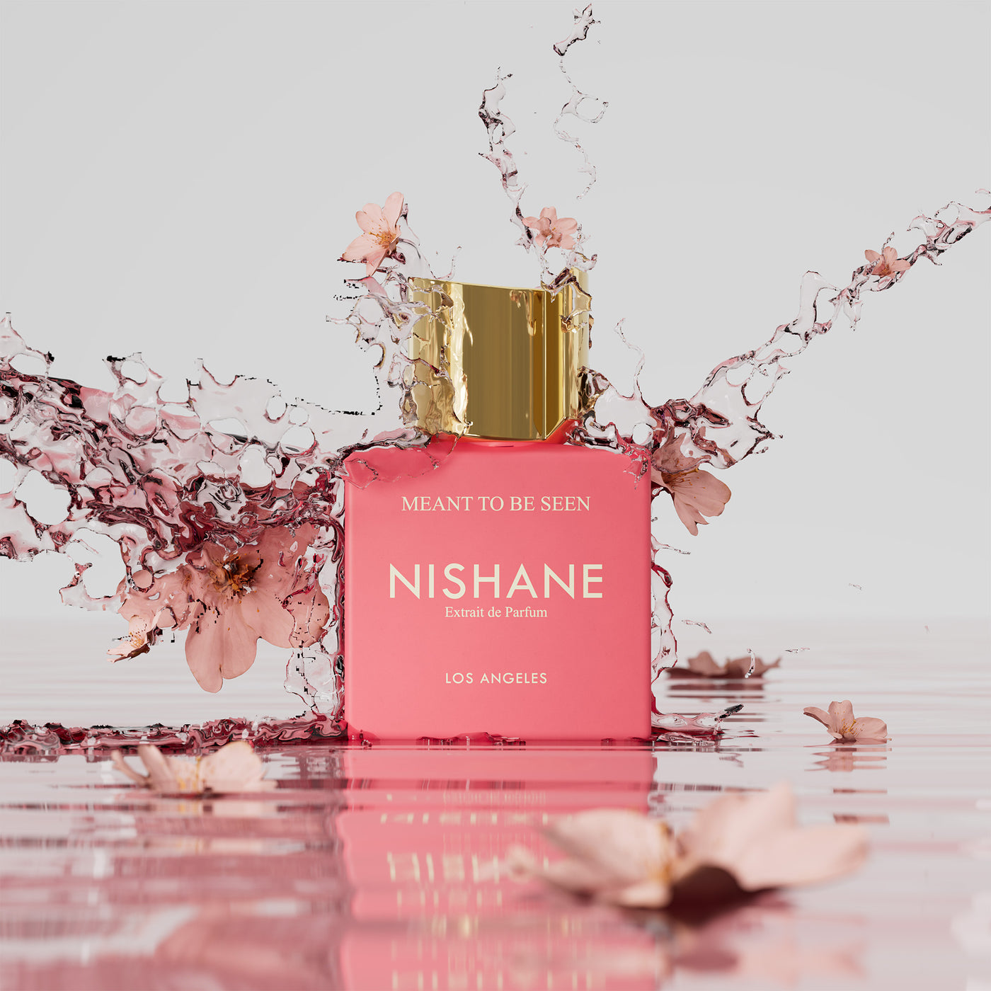 Nishane Meant To Be Seen EXT 100ml