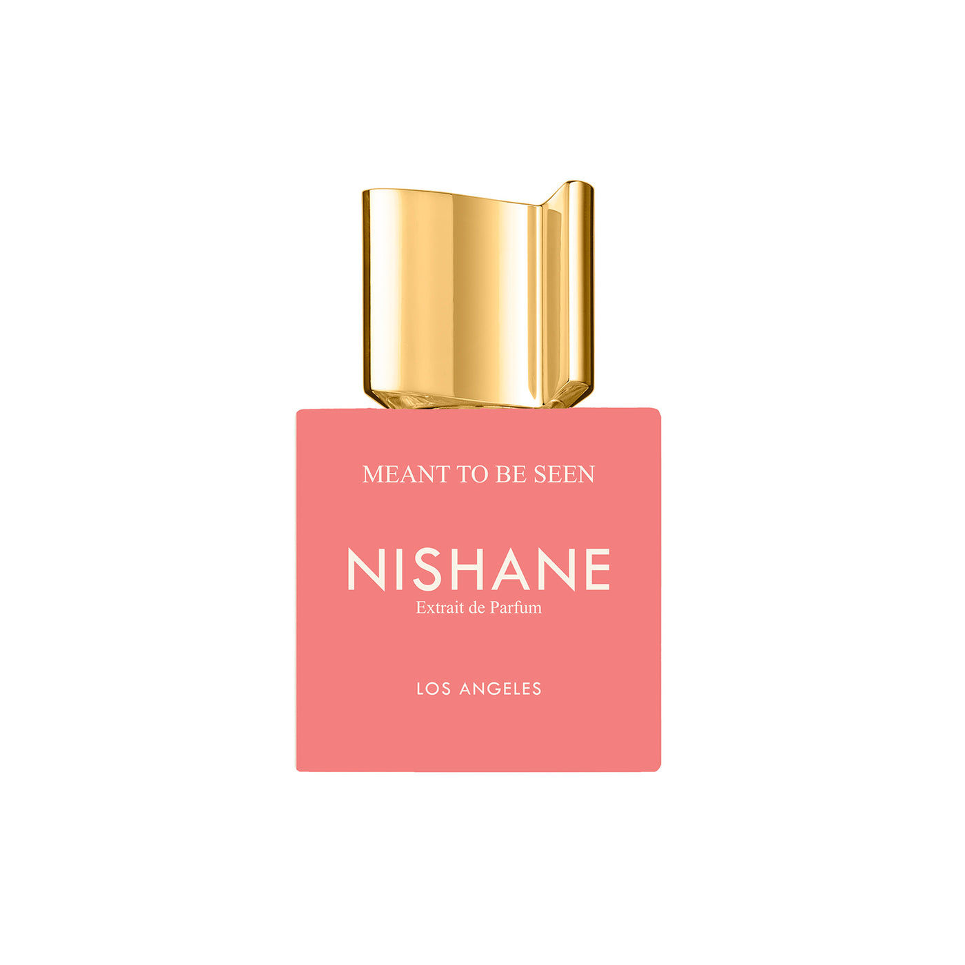 Nishane Meant To Be Seen EXT 100ml